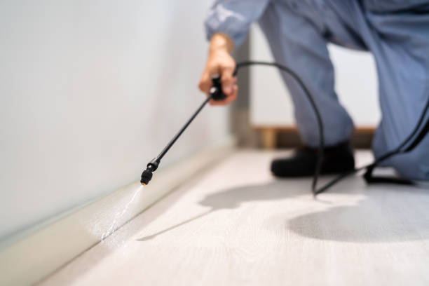 Licensed Pest Control service in East Harwich, MA - Show Me Pest Control