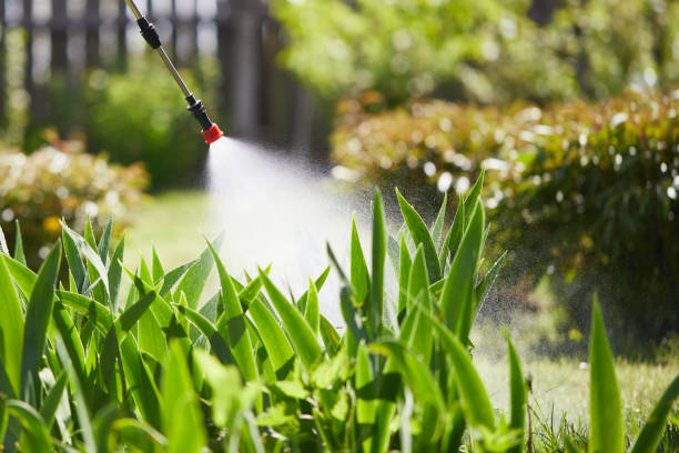 24/7 Emergency Mosquito Control experts in East Harwich, MA