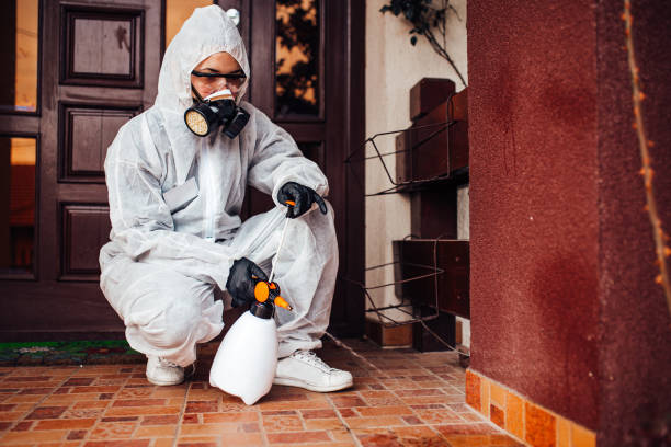 Reliable Mosquito Control contractor in East Harwich, MA by Show Me Pest Control