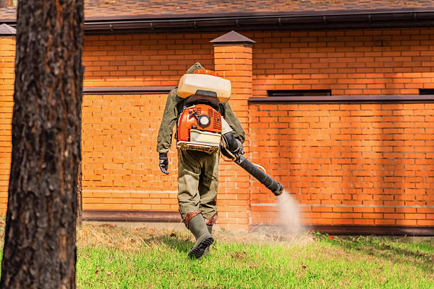 Top rated local Mosquito Control specialists in East Harwich, MA